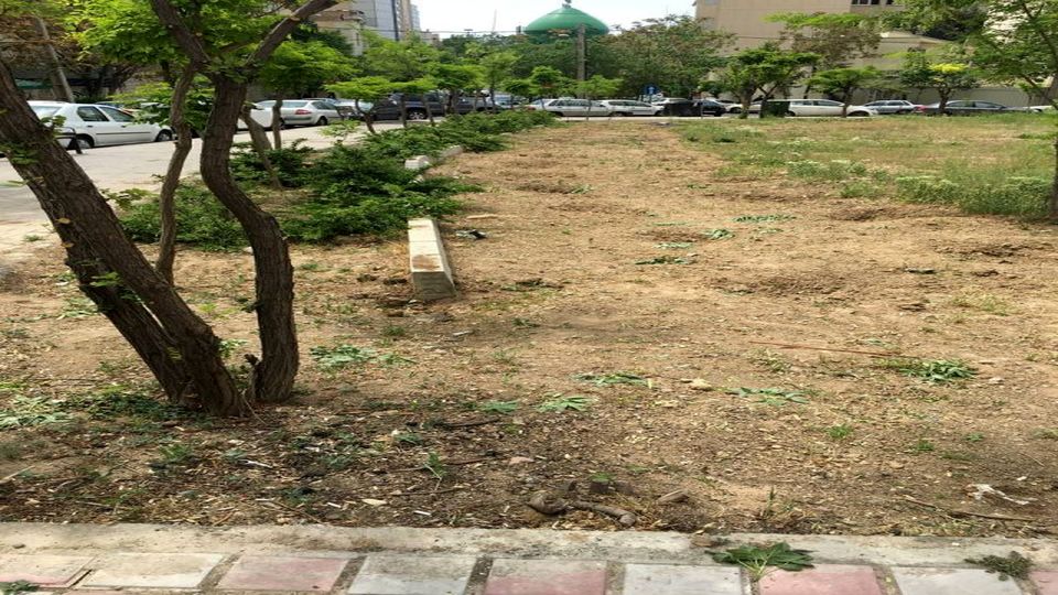 سریال جابهجایی شبانه درختان پایتخت سریال جابهجایی شبانه درختان پایتخت