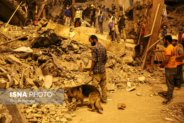 توضیح پزشکی قانونی درباره توضیح پزشکی قانونی درباره