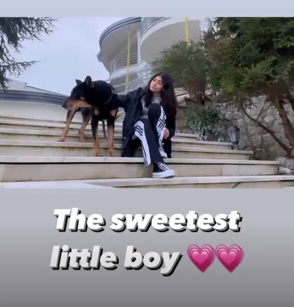 حیوان خانگی ترسناک دختر علی دایی حیوان خانگی ترسناک دختر علی دایی