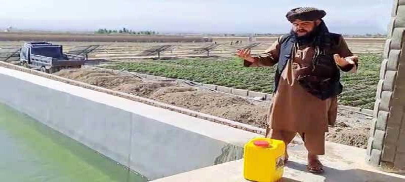 فیلم واکنش تند و عجیب طالبان به سخنان رئیسی فیلم واکنش تند و عجیب طالبان به سخنان رئیسی