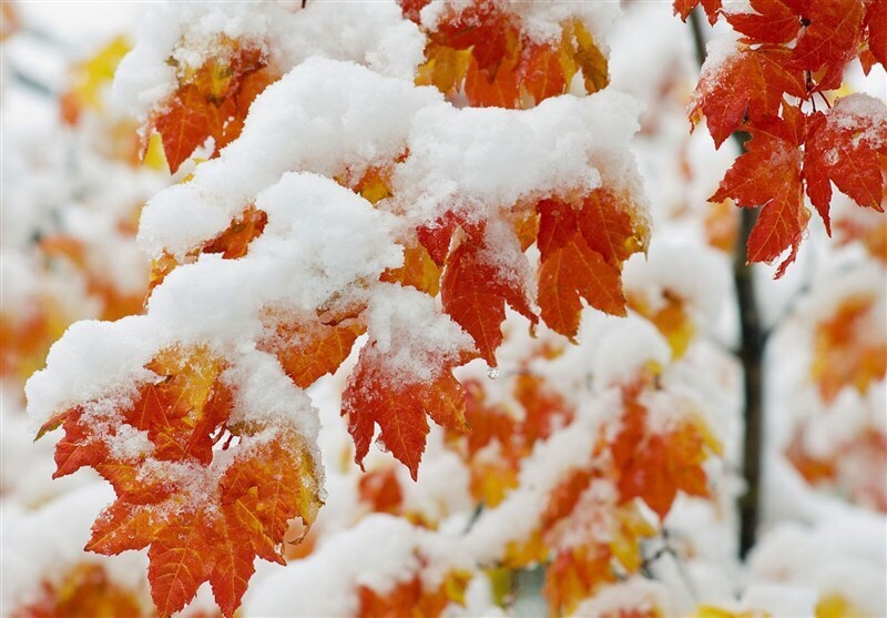 هشدار نارنجی سازمان هواشناسی؛ باران، برف و کولاک در ۲۰ استان هشدار نارنجی سازمان هواشناسی؛ باران، برف و کولاک در ۲۰ استان