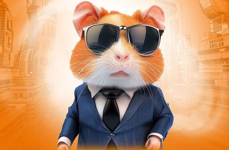 همستر کامبک پول می شود؟ | همستر کامبک پول می شود؟ |