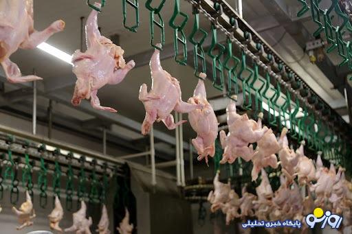 اعلام نرخ جدید مرغ +جزییات تغییر قیمت اعلام نرخ جدید مرغ +جزییات تغییر قیمت