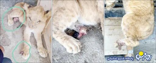 جنگ روایتها؟ چه کسی دروغ میگوید؟ جنگ روایتها؟ چه کسی دروغ میگوید؟