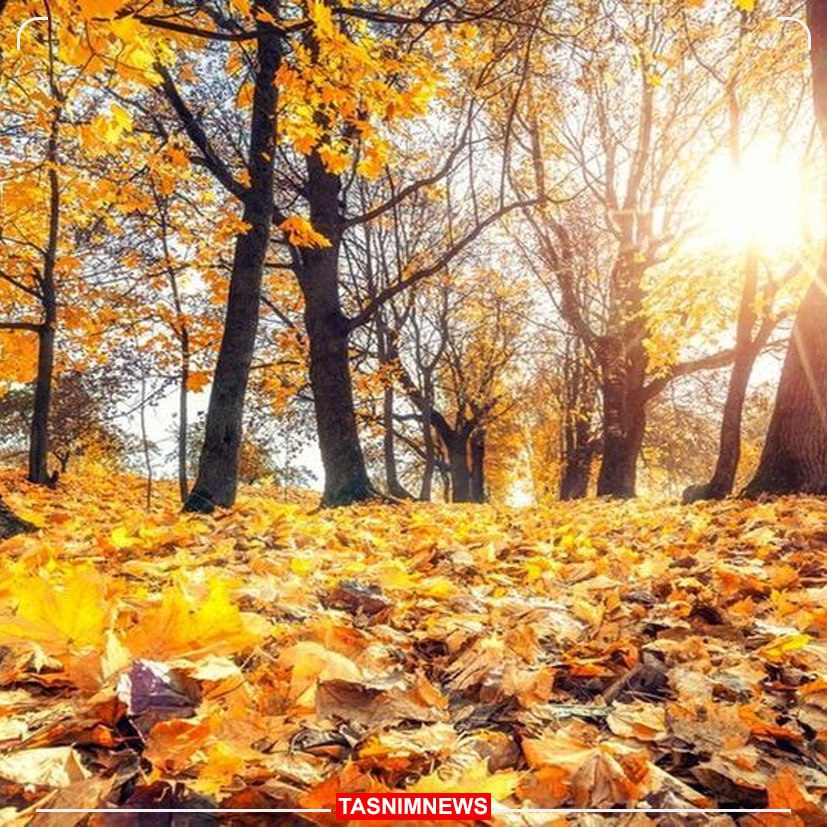 هواشناسی: پاییز خوبی را پیشبینی نمیکنیم