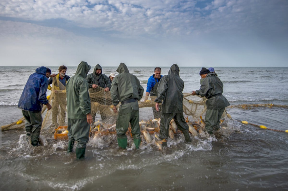 فعالیتهای دریایی در خزر ممنوع شد