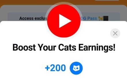 جواب کد یوتیوب boost your cats earnings در کتز جواب کد یوتیوب boost your cats earnings در کتز