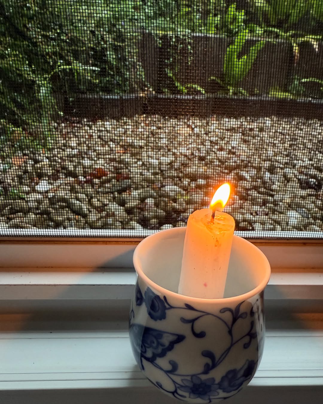 photo_2025-05-28_09-48-10