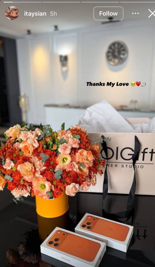 عکس از استوری همسر رضا شکاری آیفون ۱۷