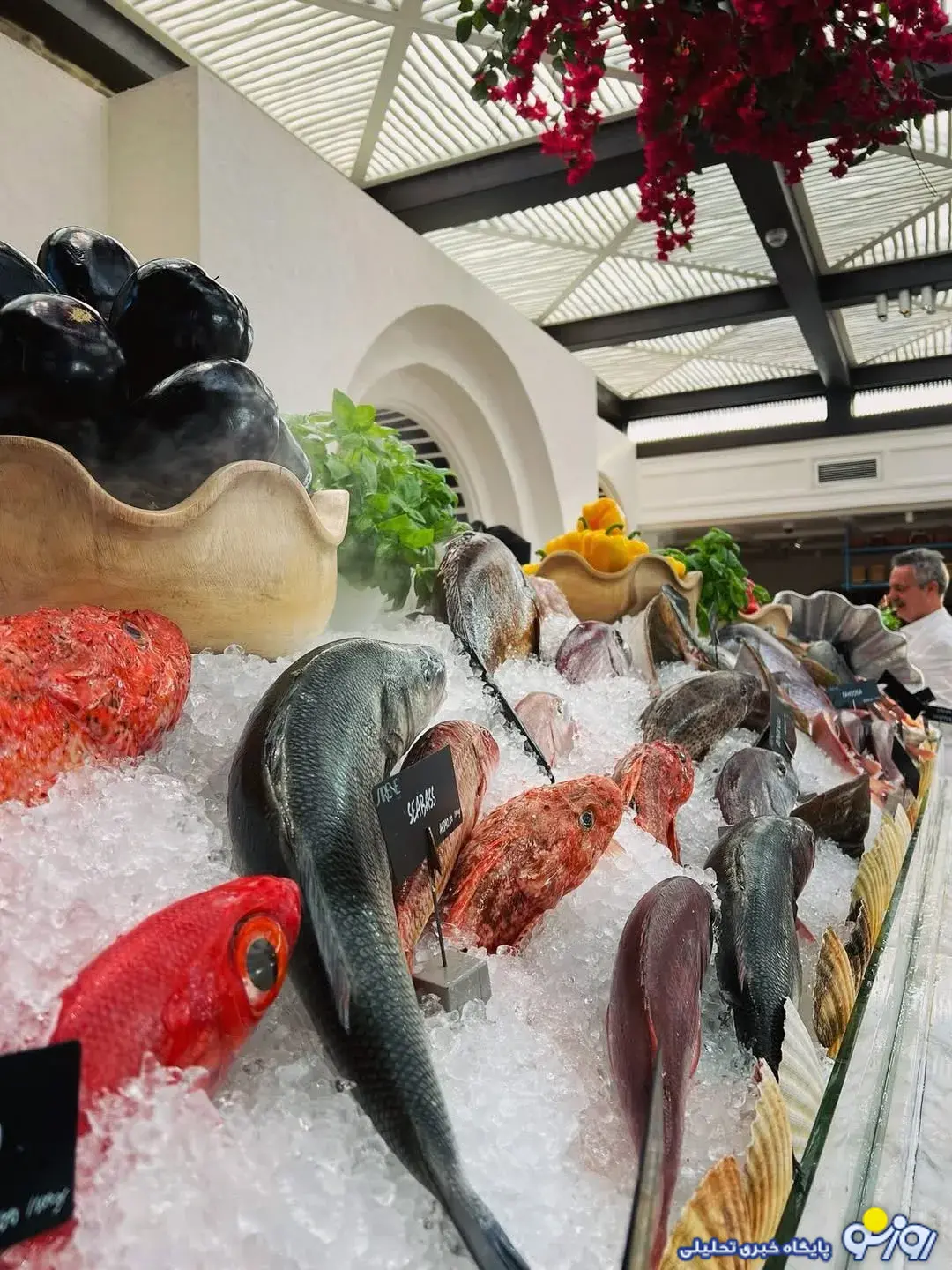 الناز در دبی! الناز در دبی!