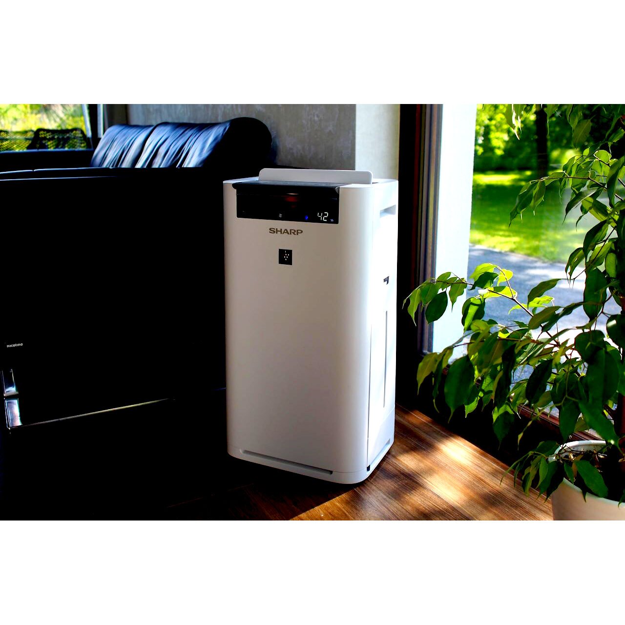 معرفی بهترین دستگاه تصفیه هوا موجود در بازار معرفی بهترین دستگاه تصفیه هوا شارپ