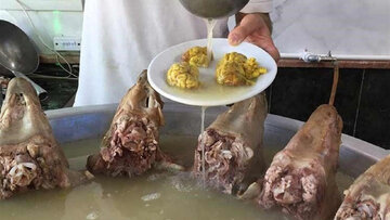 قیمت کلهپاچه عجیبتر شد/احمدیانفر: کلهپاچه دیگر غذای فقرا نیست قیمت کلهپاچه عجیبتر شد/احمدیانفر: کلهپاچه دیگر غذای فقرا نیست